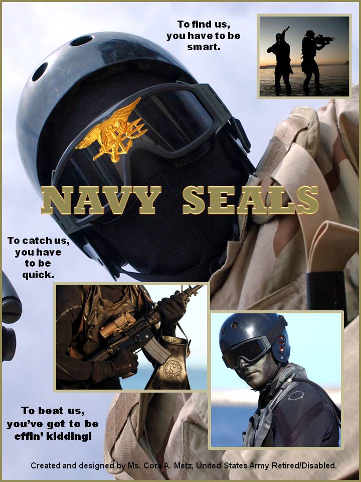NAVY SEALS ROCK!