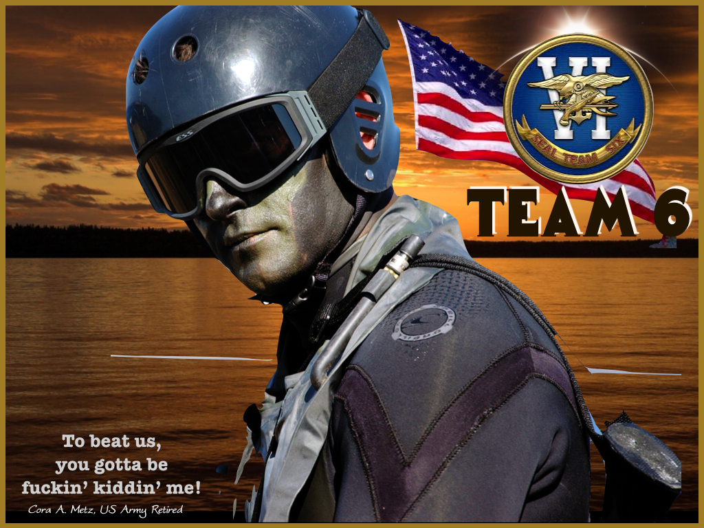 NAVY SEAL TEAM&nbsp;6