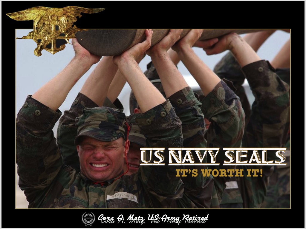 NAVY SEALS