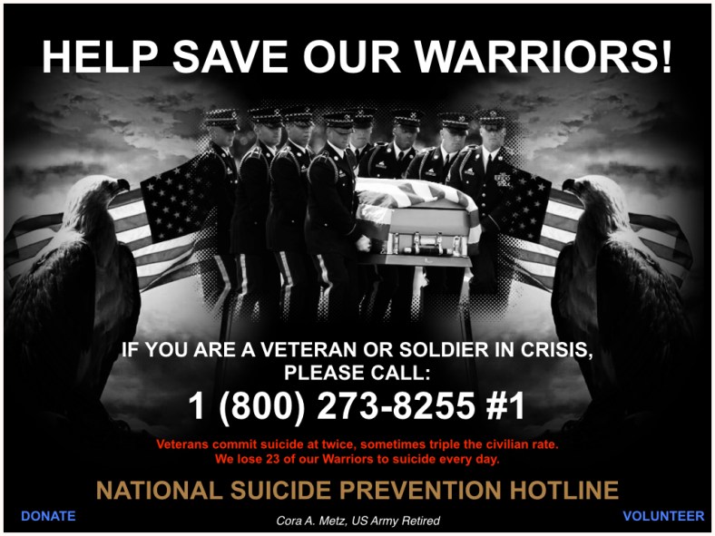 Donate or volunteer to help.