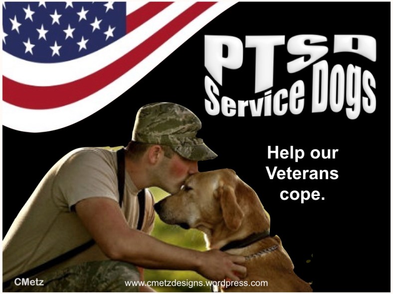 VETS COPING WITH PTSD_002