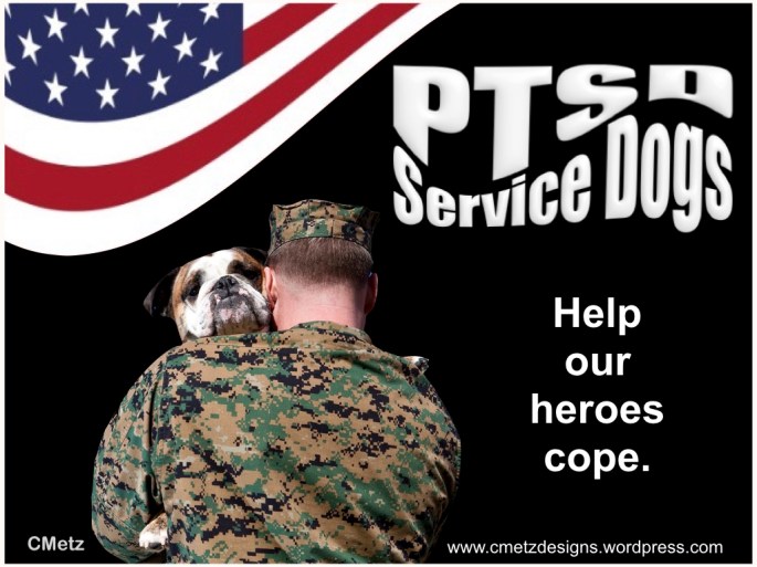 VETS COPING WITH PTSD_003