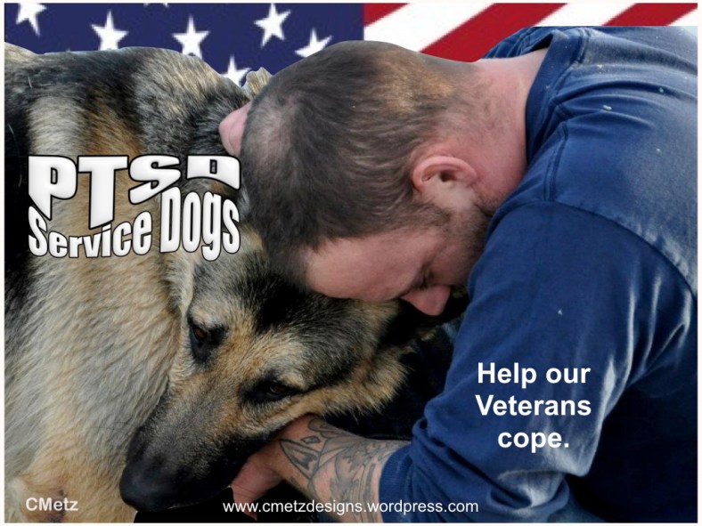 VETS COPING WITH PTSD_004