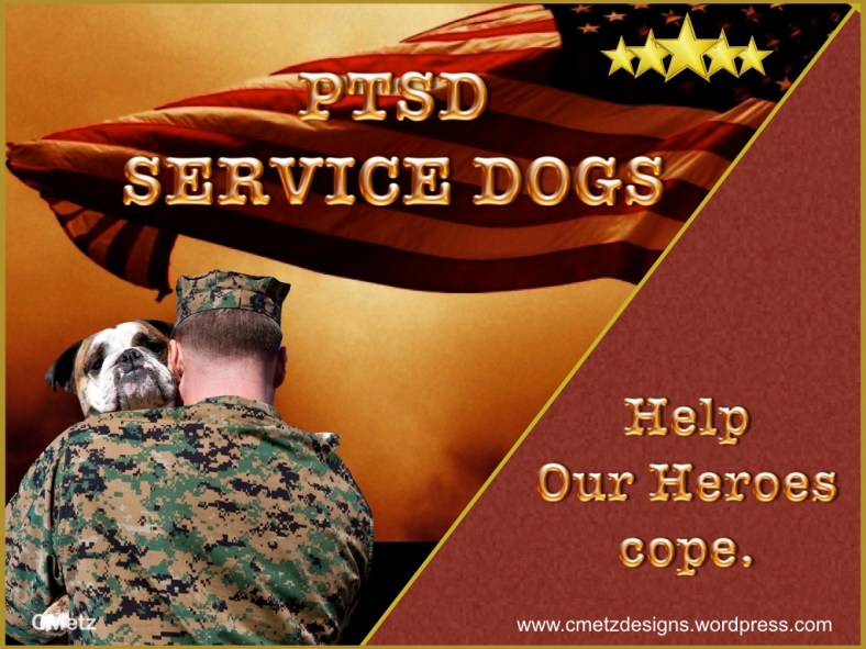 VETS COPING WITH PTSD_005