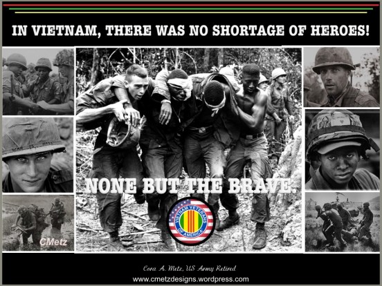 VIETNAM VET APPRECIATION